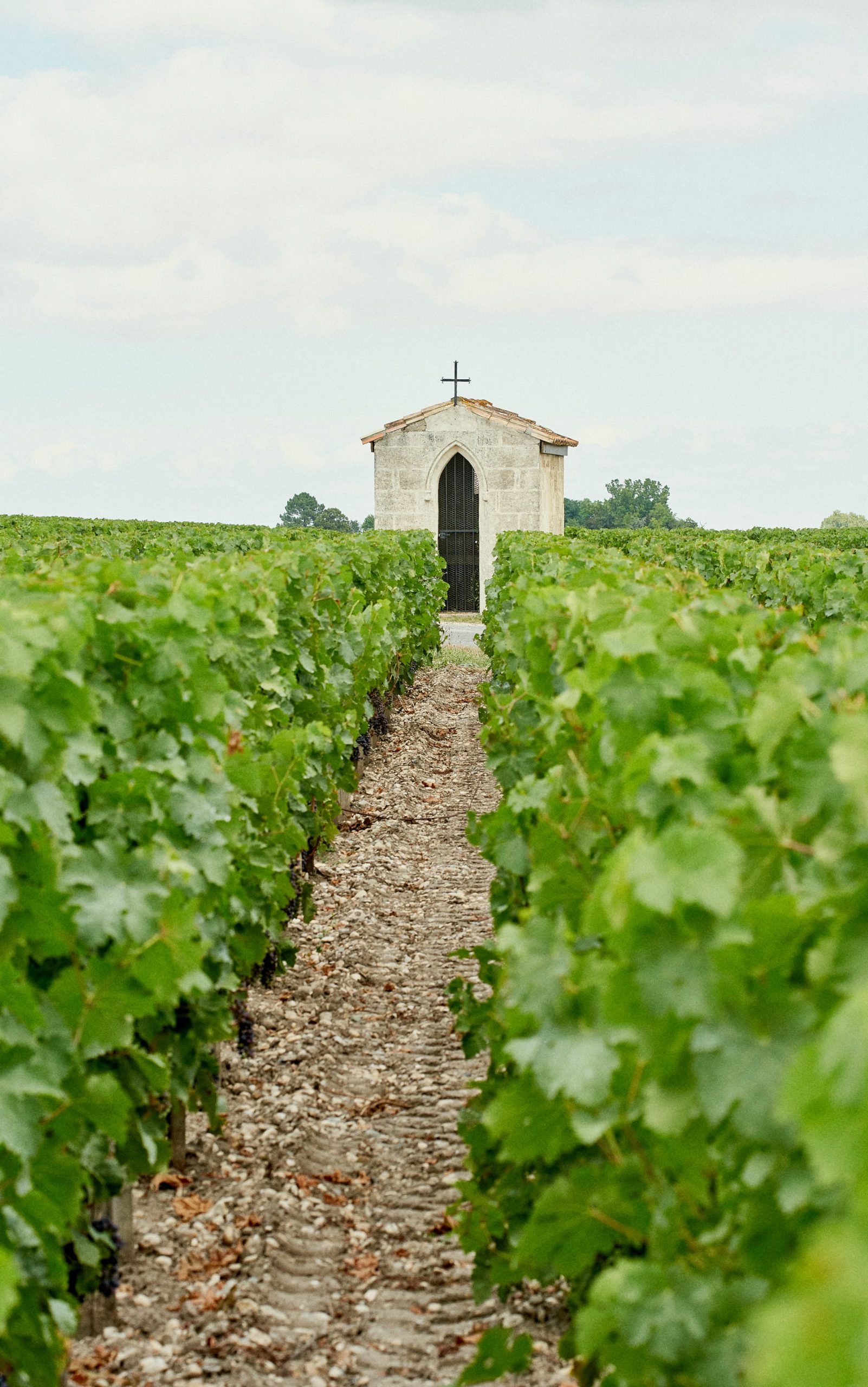 Médoc vin caractéristique