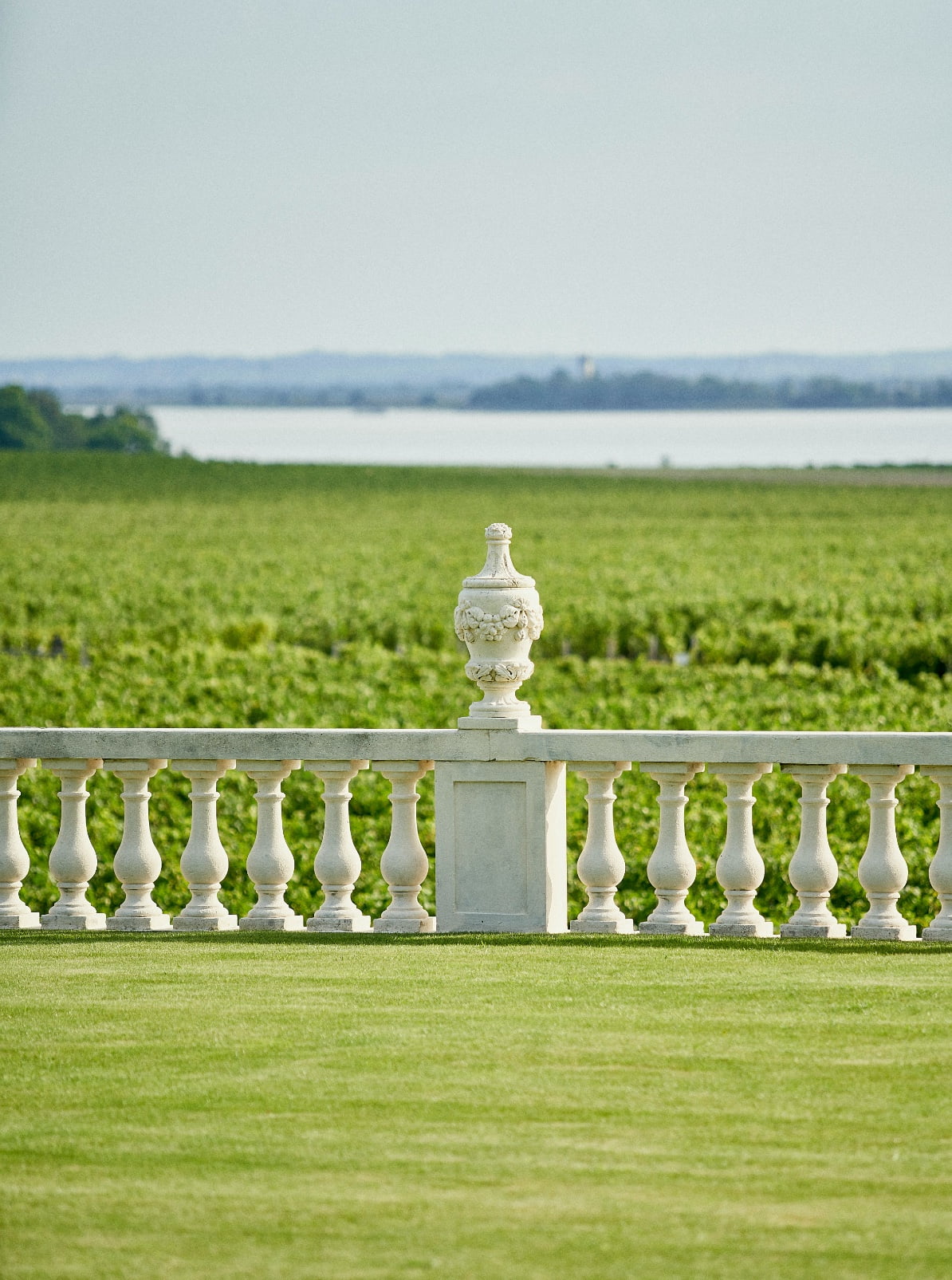 Visite grand vin de Bordeaux