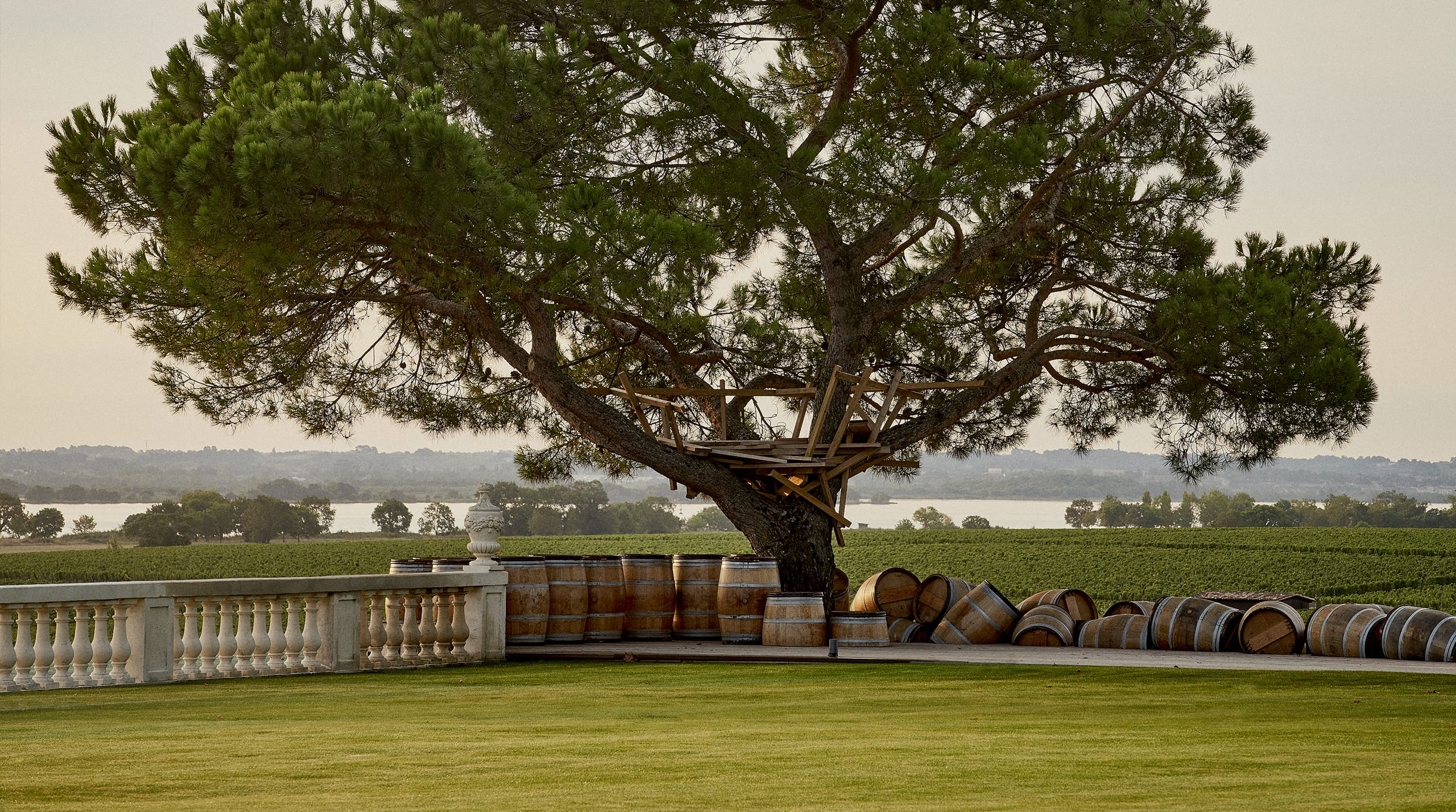 Classement vin Bordeaux